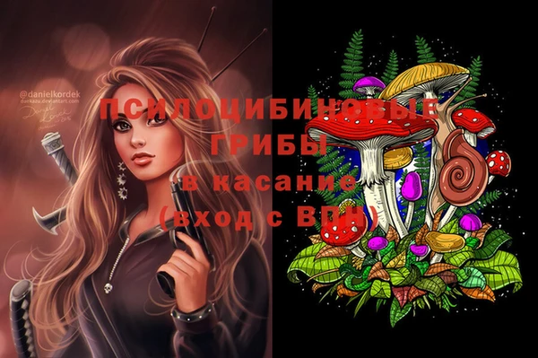 эйфоретик Нея