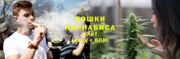 PSILOCYBIN Нефтекумск