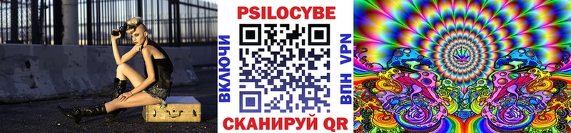 Галлюциногенные грибы ЛСД  Купить где  Калининград 